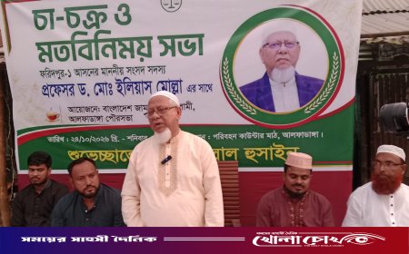 আলফাডাঙ্গার উন্নয়নে ৫ কোটি টাকা বরাদ্দের ঘোষণা এমপি ইলিয়াস মোল্লার
