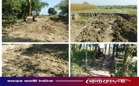 দৌলতপুরে রাতের আঁধারে ফসলি জমির মাটি কাটার মহোৎসব