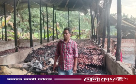 আগুনে পুড়ে ছাই স্বপ্ন ও পুঁজি, ১০ লাখ টাকার ঋণে দিশাহারা যুবদল নেতা ইমরুল