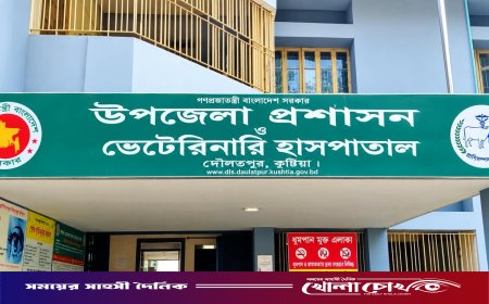 দৌলতপুরে অ্যানথ্রাক্সের টিকায় অতিরিক্ত অর্থ আদায়ের অভিযোগ, ১৪ ইউনিয়নে নজরদারির দাবি