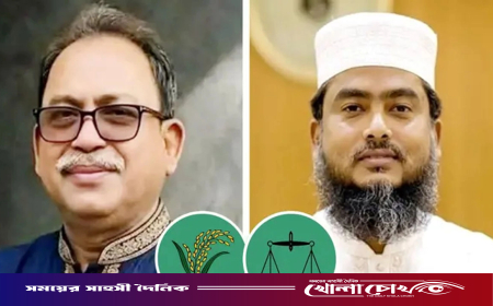 ঠাকুরগাঁও-১ উপনির্বাচন: ৩০ কেন্দ্রের ফলাফলে বড় ব্যবধানে এগিয়ে ধানের শীষ