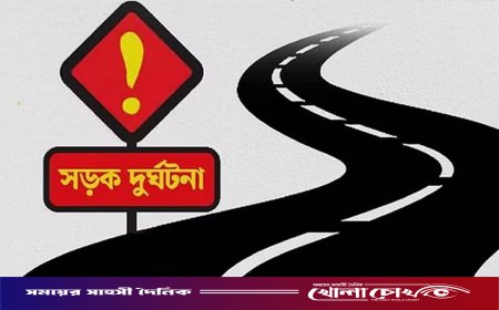 নগরকান্দায় বাস-ট্রাক মুখোমুখি সংঘর্ষ, চালক আহত