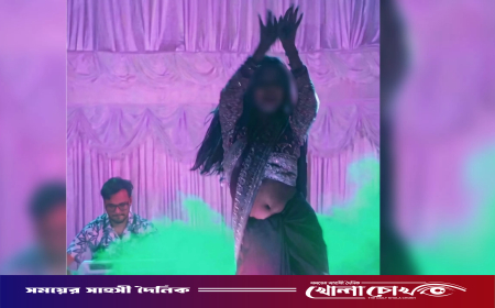 প্রতিমন্ত্রীর নিষেধের পরও সংবর্ধনা অনুষ্ঠানে অশ্লীল নৃত্য, বিলুপ্ত ছাত্রদলের ইউনিয়ন কমিটি