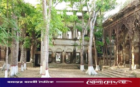 শহিদুল ইসলাম বাবুলের ভিডিও বার্তার প্রভাব: বাইশরশি জমিদার বাড়ি সংরক্ষণে তোড়জোড়