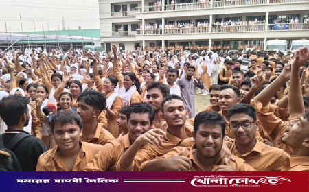 একজনের জন্য হলো না শতভাগ পাস, তবুও শীর্ষে কাদির মোল্লা কলেজ