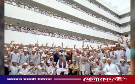 আলিম ফলাফলে মাদরাসা বোর্ডে দেশসেরা তা’মীরুল মিল্লাত