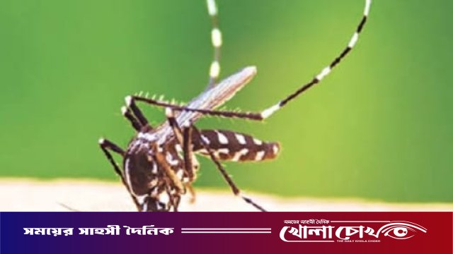 ফরিদপুরে একদিনে আরও ৩৪ জনের ডেঙ্গু শনাক্ত, নেই কোনো মৃত্যু