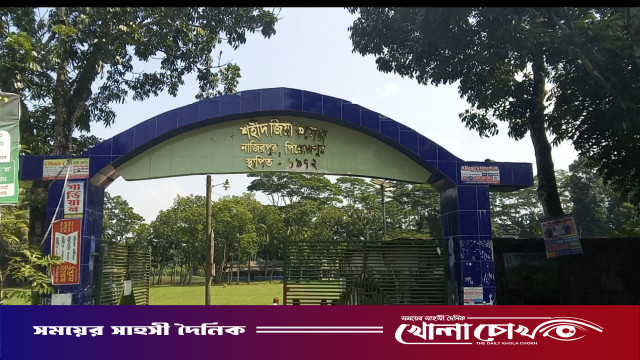 নিয়োগ জালিয়াতি ও রাষ্ট্রীয় অর্থ হরিলুট: নাজিরপুরে শহীদ জিয়া কলেজে ১০ বছর ধরে ভুয়া শিক্ষকদের রাজত্ব