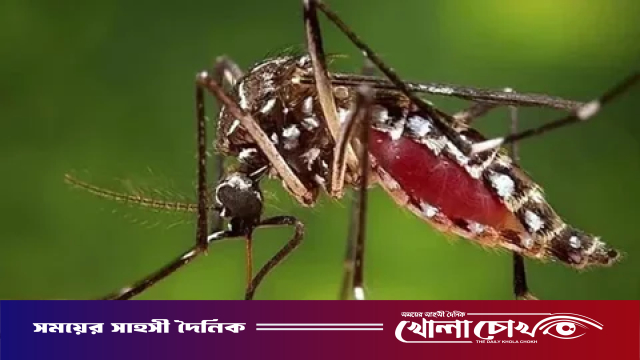 ডেঙ্গুতে এক দিনে ১০ জনের মৃত্যু