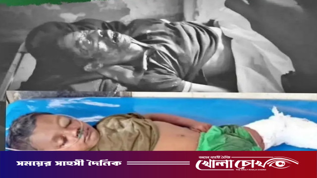 নেছারাবাদে কাঠবোঝাই ভ্যান উল্টে ভ্যানচালক বাবার মৃত্যু, শিশু পুত্রের অবস্থা আশঙ্কাজনক