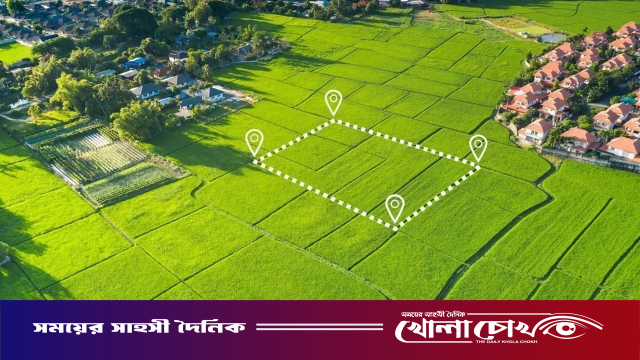 এক শমসেরই হাতিয়েছেন সরকারের ১৯৪টি প্লট