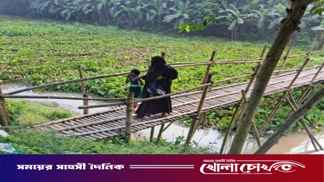 বোয়ালমারীতে একটি সেতুর অভাবে চরম ভোগান্তি: বাঁশের সাঁকোই ভরসা ৯ গ্রামের ২০ হাজার মানুষের