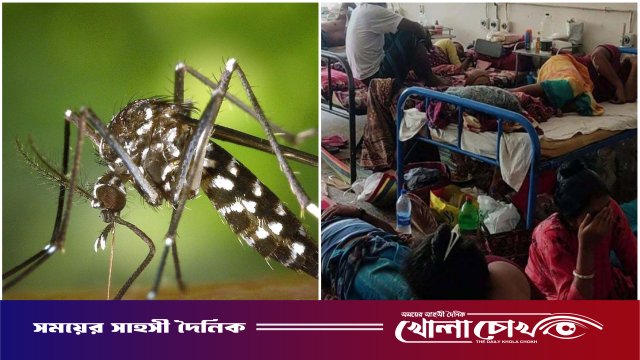 ফরিদপুরে বাড়ছে ডেঙ্গুর প্রকোপ: ২৪ ঘণ্টায় হাসপাতালে ভর্তি ২৪, মোট মৃত্যু ৯