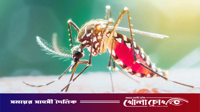 ডেঙ্গুতে আরও ৭ জনের মৃত্যু