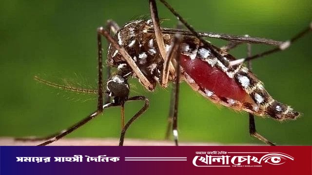 ফরিদপুরে একদিনে ৩২ জন ডেঙ্গু আক্রান্ত, মোট শনাক্ত ছাড়াল ১৭০০